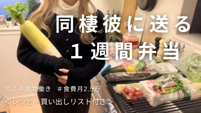 【食費月2.5万】真似するだけ簡単毎日お弁当/レシピ付き