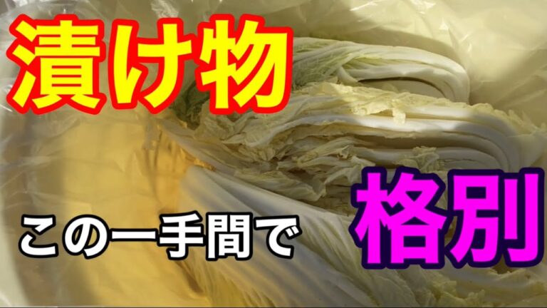 【白菜の浅漬け】これやっとけば塩以外いりません！