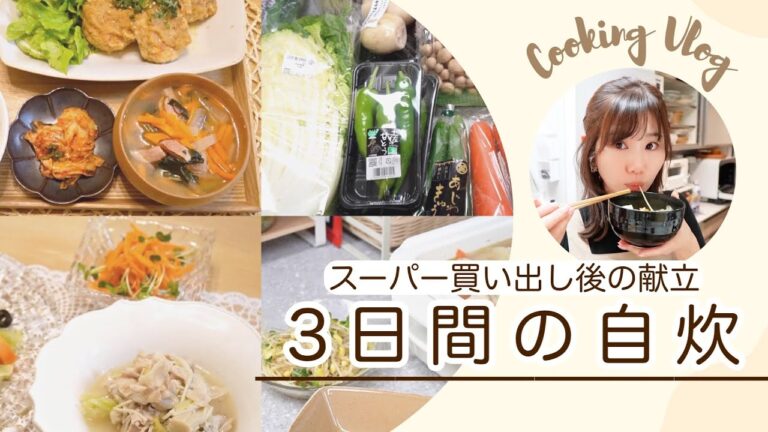 【料理】買い出し後のストック調理とその後のご飯🍚3日分！【楽々レシピが得意です！】