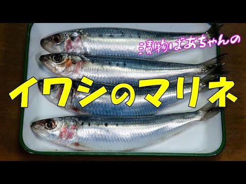 イワシのマリネ『パン食にも相性抜群　ビールやお酒のおつまみにも最高！！』