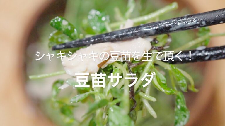 【シャキシャキの豆苗を生で頂く！豆苗サラダ】