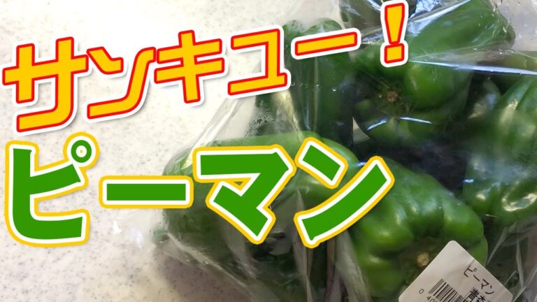 【夜ご飯】サラダに丼、炒め物！ピーマンの作り置きに助けられた１週間アレンジレシピ