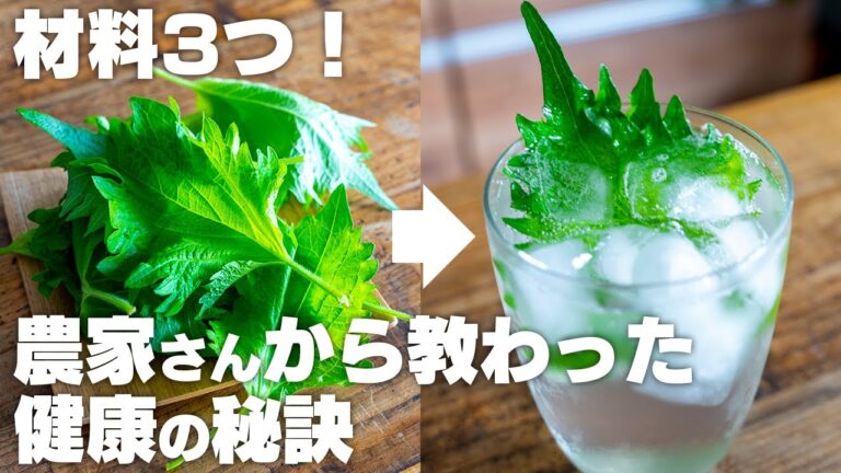 【ダイエットにも！】材料3つ、5分煮るだけ！大葉で簡単に作れるしそジュース　健康ドリンク！【夏バテ防止 / リンゴ酢でも】