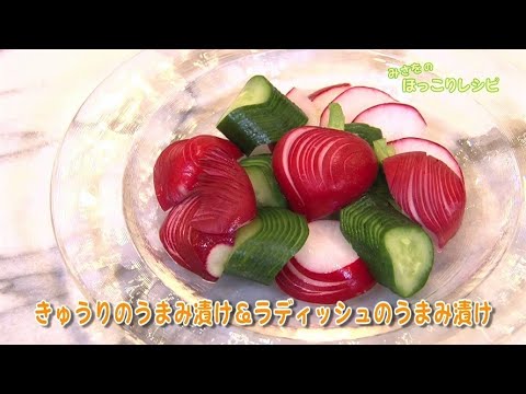 「きゅうりのうまみ漬け＆ラディッシュのうまみ漬け」白井操