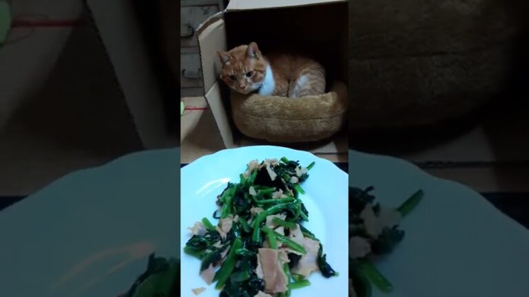 ほうれん草とベーコンのバターしょうゆ炒め　#Shorts