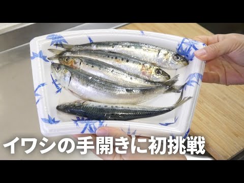 【料理女子】イワシのつみれ汁を作る【手捌き｜手開き｜ムズカシカッタ】