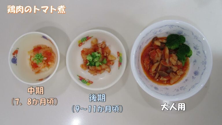 離乳食（中期） 鶏肉のトマト煮編