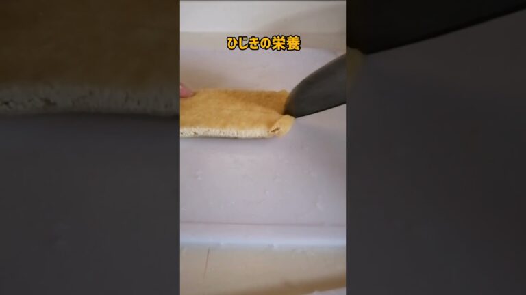 ヘルシーでダイエットに良いひじきの煮物/shorts/日本の家庭料理/ヘルシー料理