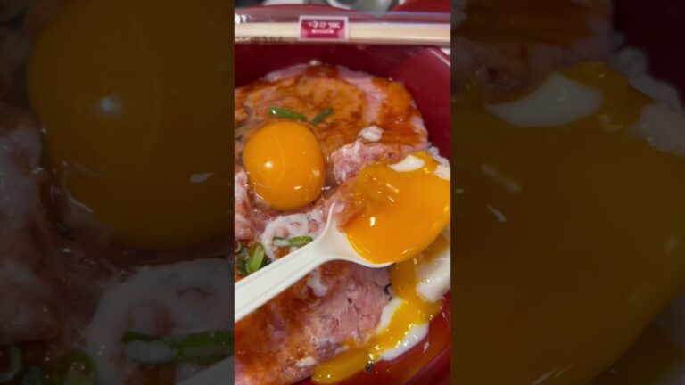 【すき家キング㉕】取材拒否 全キングシリーズ制覇 まぐろユッケ丼特盛まぐろたたき2倍ご飯大盛 海鮮丼キング深夜大量に食べてきた 0201