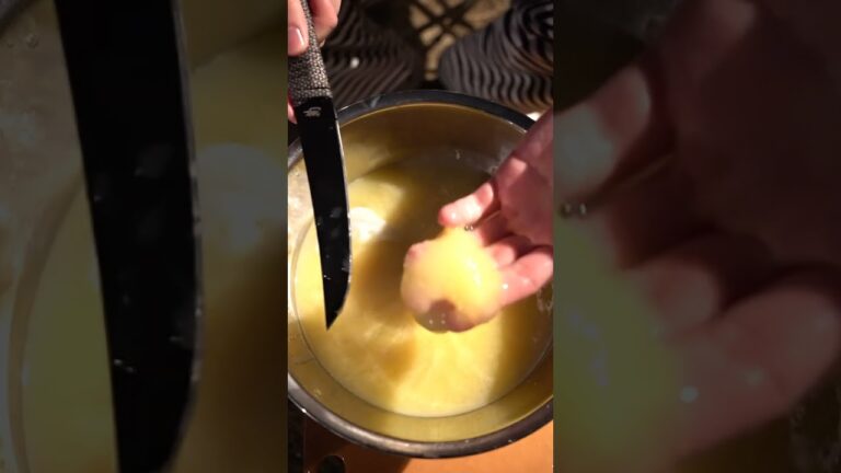 【七輪】タコの卵のしゃぶしゃぶがうますぎる！　#asmr #seafood #bbq