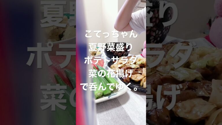 こてっちゃん夏野菜盛りポテトサラダ菜の花揚げで呑んでゆく。