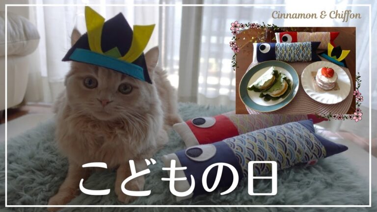 愛猫の端午の節句をお祝いしました♪  手づくり柏餅＆ブッチミルフィーユ / Children's Day Vlog【ミヌエット】