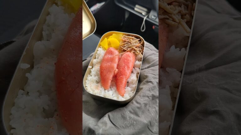 豪華辛子明太子２本弁当　#shorts