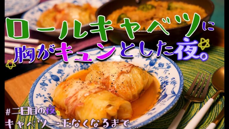 ロールキャベツは癒し系ASMR。胃にだって優しい。キャベツ一玉なくなるまで…2日目夜)二人暮らしの食卓vlog