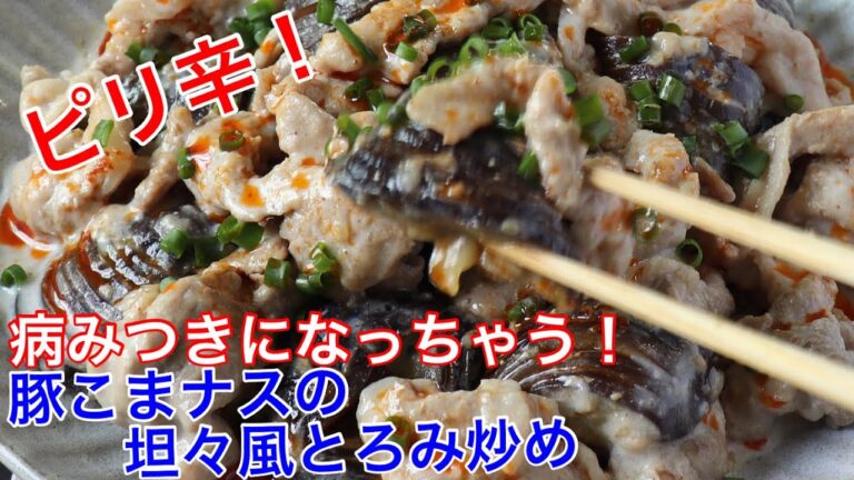 豚こまナスの坦々風とろみ炒め【節約ごはん おうちごはん おかず 料理 レシピ 簡単レシピ 今日のごはん 作り置き】
