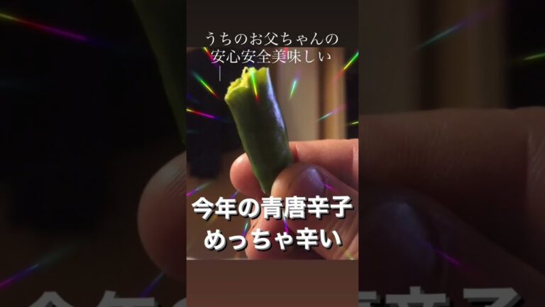 今年の青唐辛子がめちゃくちゃ辛い！！