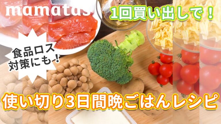 使い切りで食品ロス対策にも！1回買い出しで3日間晩ごはんレシピ 魚編