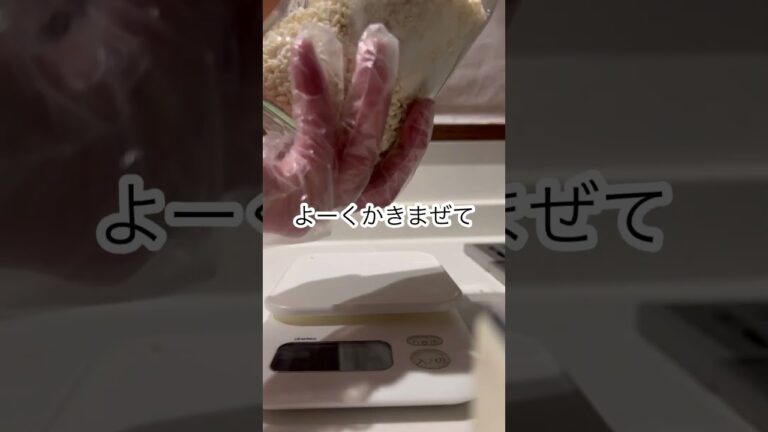 【塩麹作り方】簡単便利！手作り塩麴