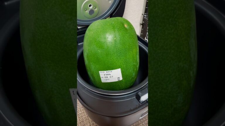 お出汁で炊いた冬瓜に肉味噌をのせて #簡単レシピ #料理 #おうちごはん #梢子