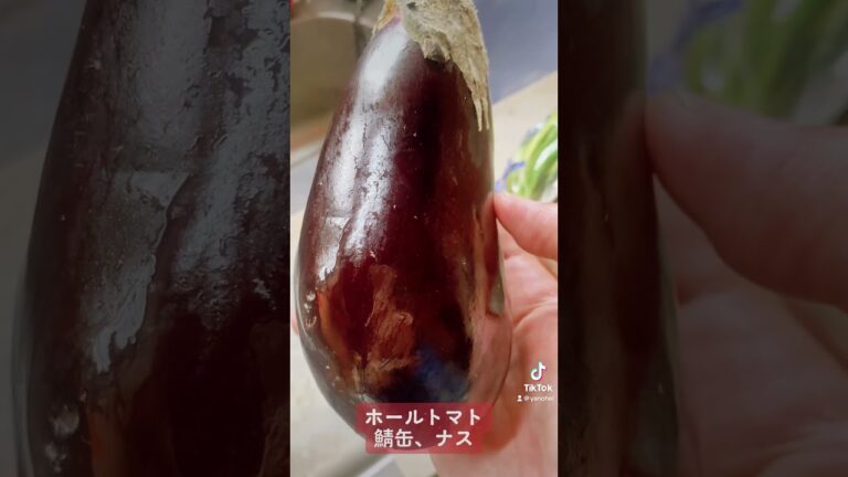 33kg痩せた鯖とナスのトマト煮込み #ダイエット