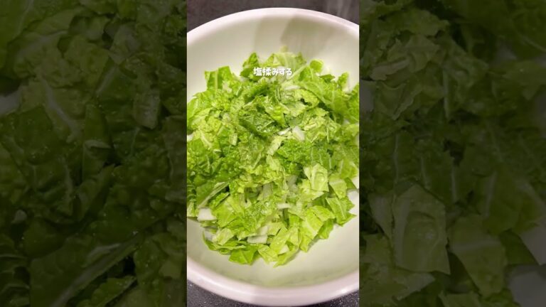 【-10kg飯】白菜コールスロー