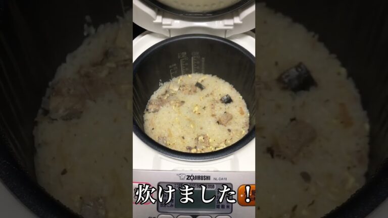鯖臭く無い！鯖タル炊き込みご飯！入れてまぜて炊くだけ簡単レシピ！