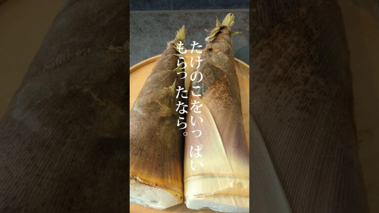【たけのこもらったら】速攻アク抜きが鉄則🍚 #shorts #あるもの食堂 #東北のミキティママ #たけのこ   #東北を1番幸せにしたい料理研究家