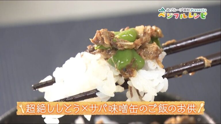 超絶ししとう×サバ味噌缶のご飯のお供「ベジフルレシピ」＃19