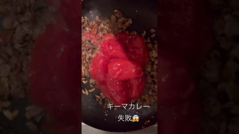 キーマカレー失敗😱　パターンを参考にしていないパターン