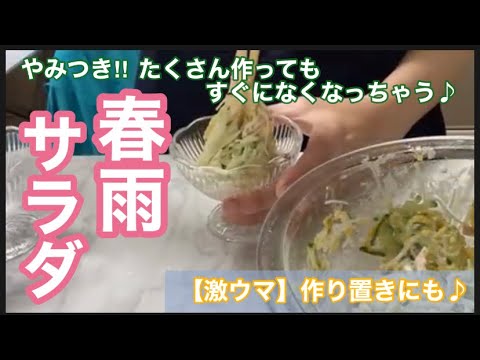 春雨サラダの作り方　これ好き♡主人の好物！めんつゆマヨ味⭐︎すぐなくなっちゃう⭐︎美味しいよ♪