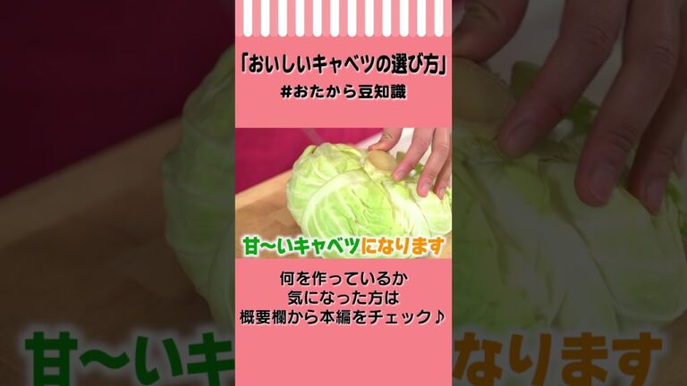 【旬の春キャベツ】おいしいキャベツの特徴がこちら #Shorts #おたから豆知識