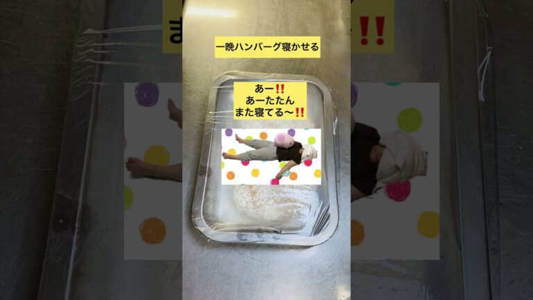 ジューシー越えた豆腐ハンバーグデカい