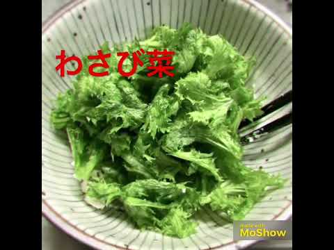 【上品な飯テロ】２分で完成🥬わさび菜とクリームチーズのサラダ😽👍✨