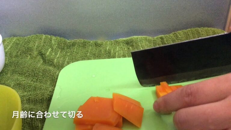 離乳食 にんじんキャベツ玉ねぎのお味噌汁　【動画でわかる！和の離乳食レシピ】