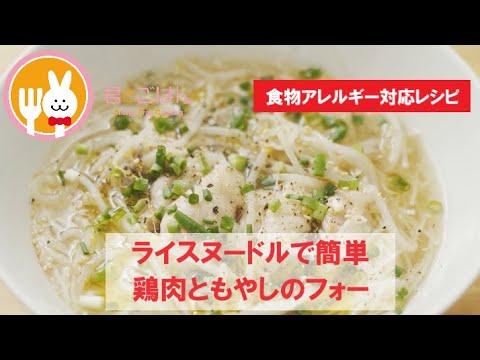 君とごはん【食物アレルギーレシピ】ライスヌードルで簡単鶏肉ともやしのフォー【卵・乳・小麦不使用】