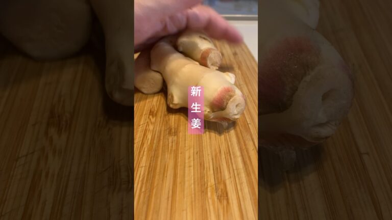 新生姜があればとりあえず作っとくやつ#shorts #つまみ