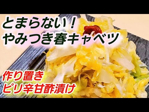 【やみつき春キャベツ】とまらない！キャベツのピリ辛甘酢漬け  作り置き 常備菜 漬物レシピ ラーパーツァイ・酢キャベツ大量消費 無限キャベツ