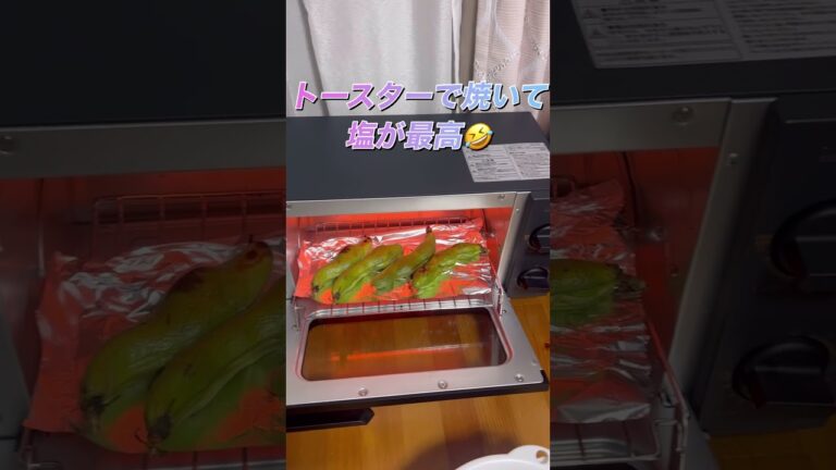 そら豆トースターで焼いただけで最高なんだよ🍻#shorts #料理