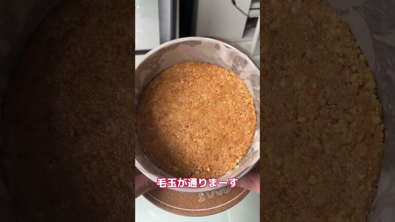 SNSで話題の簡単チョコタルト作った結果ww #shorts