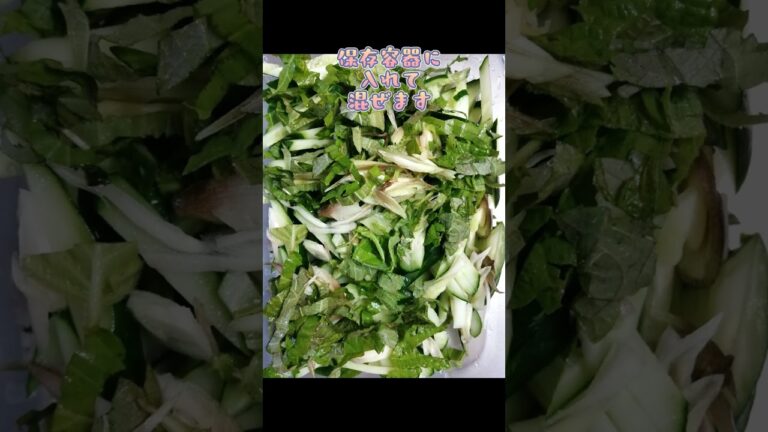 1度食べたらやめられない！止まらない！きゅうりとみょうがと青葉のさっぱり漬け #shorts #short #かんたんレシピ #ヘルシー