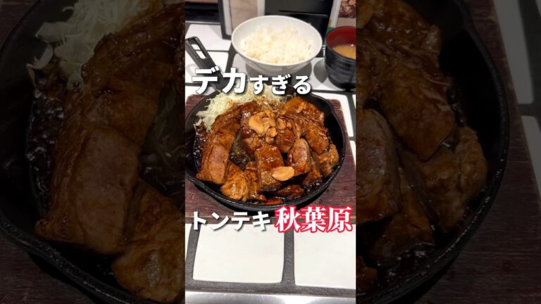 大ボリューム！デカすぎるトンテキがジューシー過ぎる【秋葉原グルメ】東京トンテキ