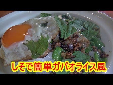【簡単お手軽レシピ】紫蘇のガパオライス風の作り方