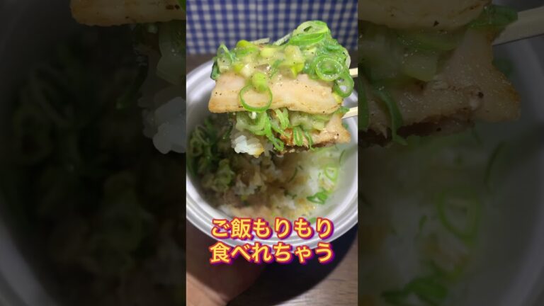 【松屋】ネギ塩厚切り豚カルビ丼とスタミナ厚切り豚カルビ丼食べてみた