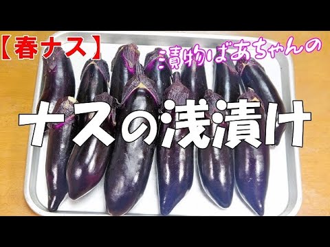 【春ナス】ナスの浅漬け『皮が柔らかくメッチャ旨～い！！』