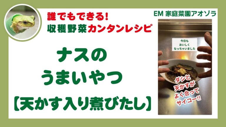 ナスのうまいやつ【天かす入り煮びたし】