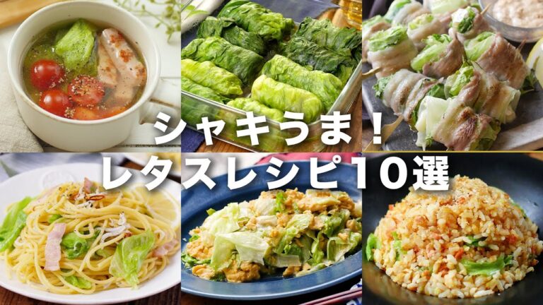 【レタスレシピ10選】チャーハンやパスタ、炒め物など！シャキッとした食感が心地よい♪｜macaroni（マカロニ）