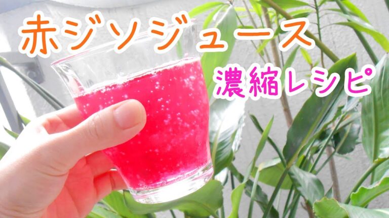 赤ジソジュースの作り方 簡単濃縮レシピ　red perilla juice！葉ガラでゆかりふりかけも（時々アカミミガメ）