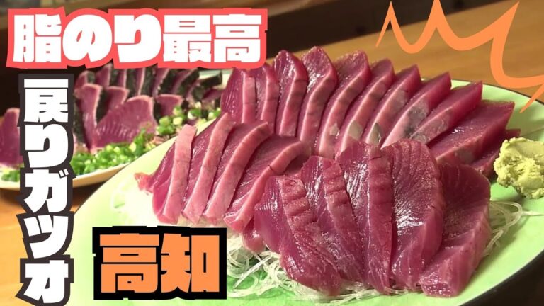 「脂のりが自慢！土佐の戻りガツオ　今が旬！」こうちeye2023/10/3放送