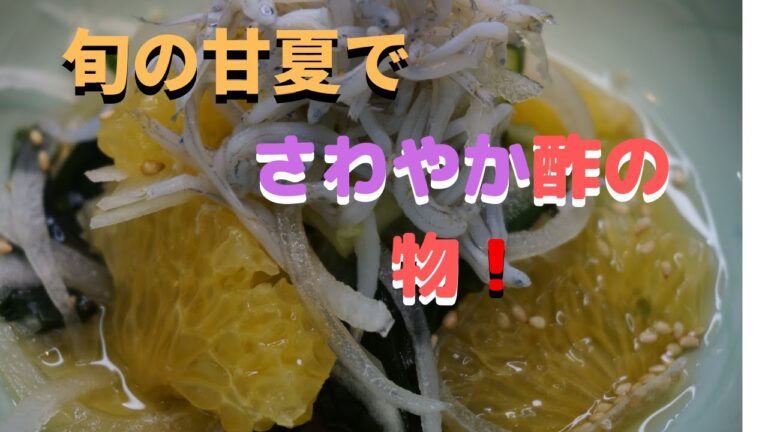 甘夏を使って初夏の酢の物！まかないチャレンジ