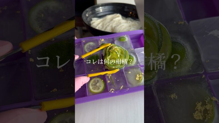 今流行りの「スダチ素麺」可愛く作れたww｜famous Japanese noodle #ショート #shorts #ライフハック #lifehacks #簡単レシピ